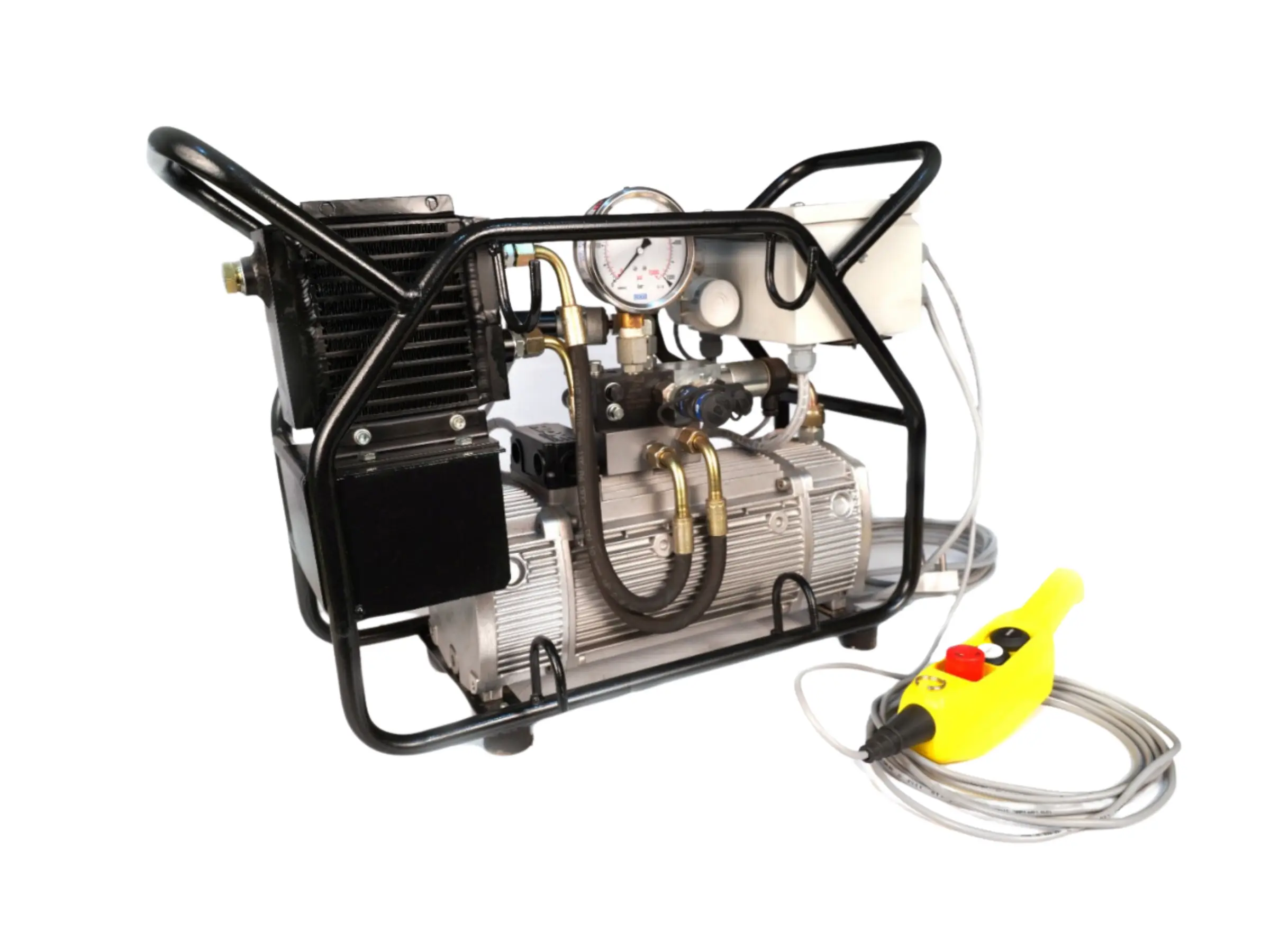 Hydraulic Torquing Pumps